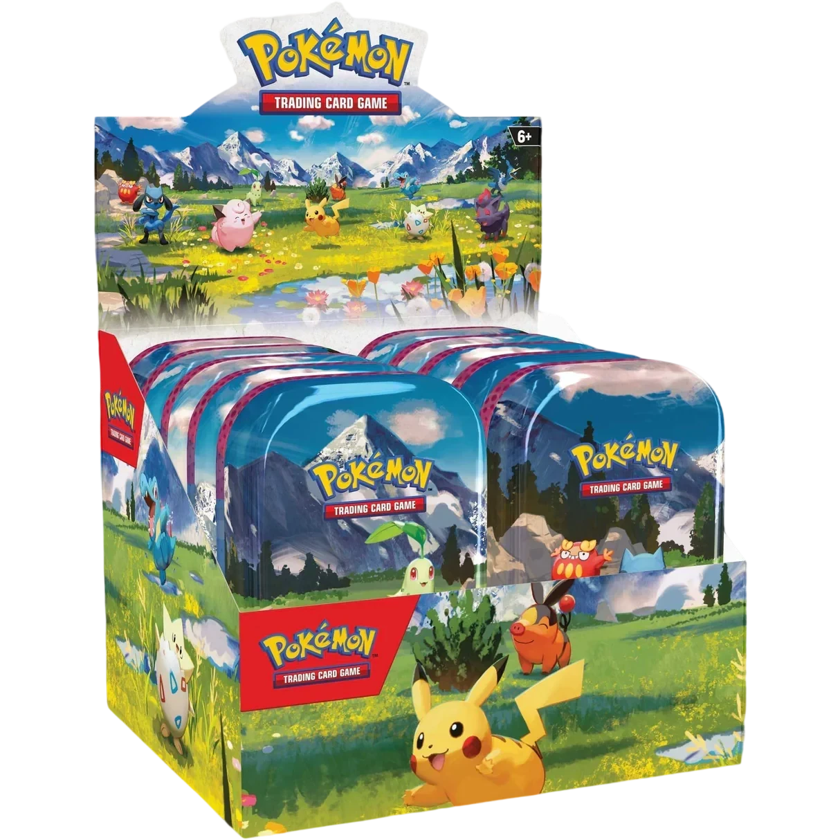 Mini Tin Display