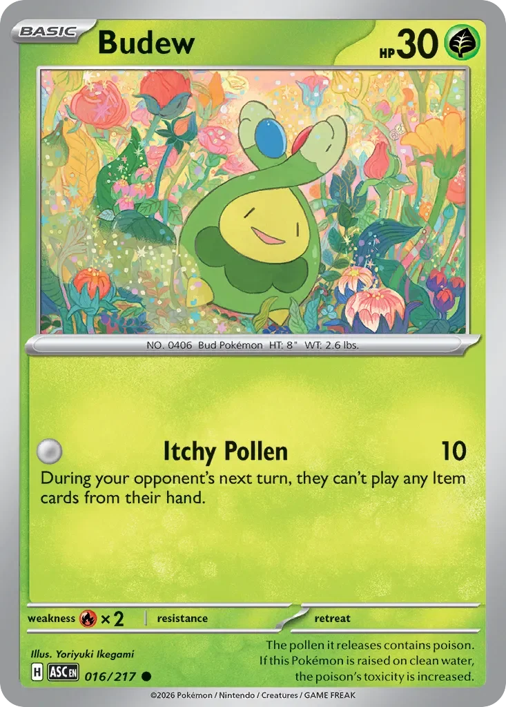 Budew 16