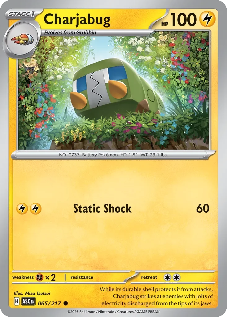 Charjabug 65