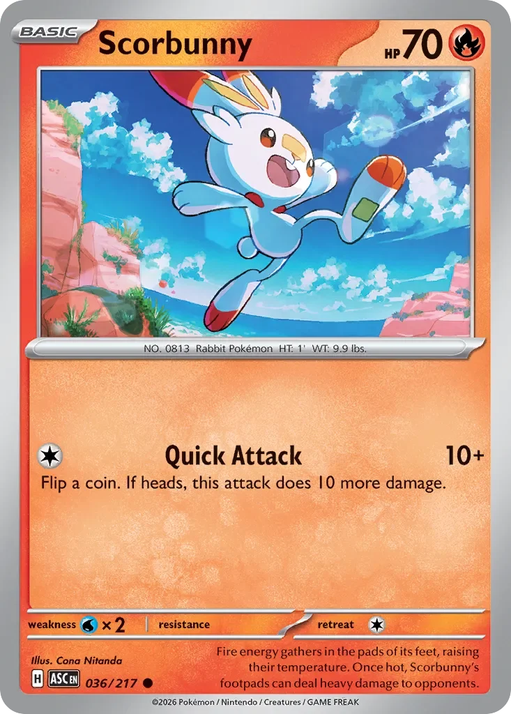 Scorbunny 36