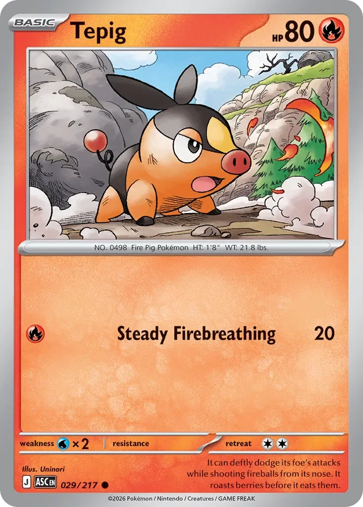 Tepig 29
