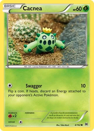 Cacnea 4