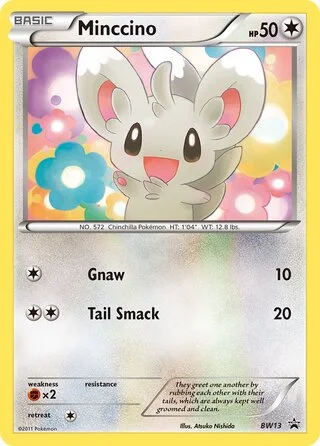 Minccino BW13