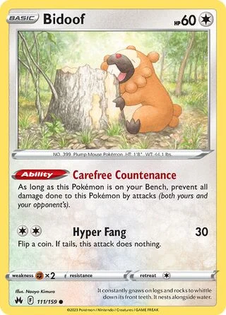 Bidoof 111