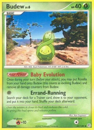 Budew 43