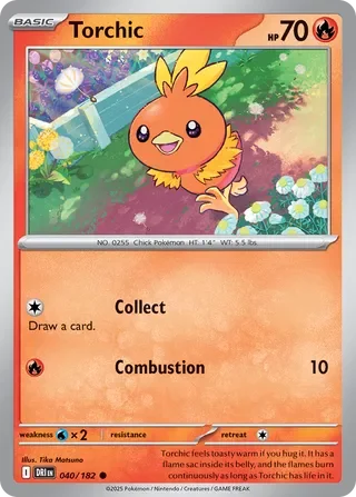 Torchic 40