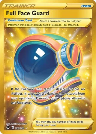 Full Face Guard 231