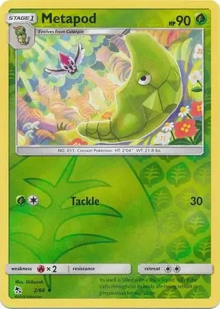 Metapod 2