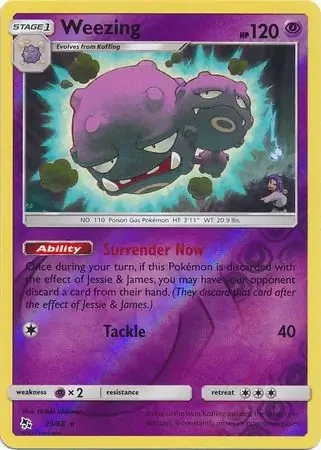 Weezing 29