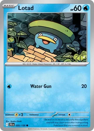 Lotad 35