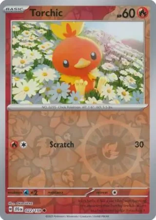 Torchic 22
