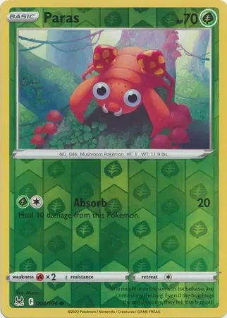 Paras 4