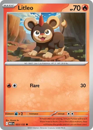 Litleo 23