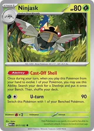 Ninjask 17