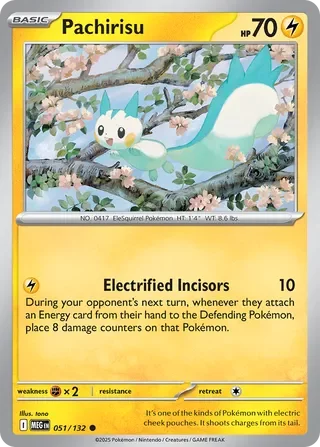 Pachirisu 51