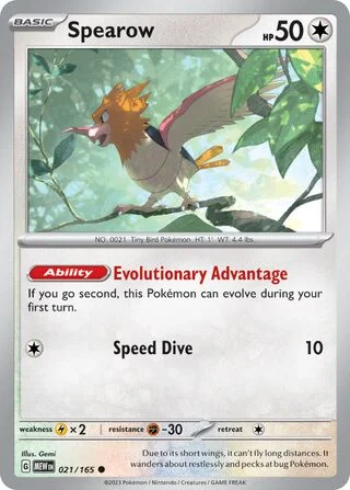 Spearow 21