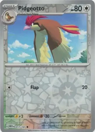 Pidgeotto 17