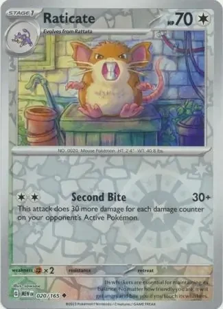 Raticate 20