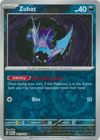 Zubat 41
