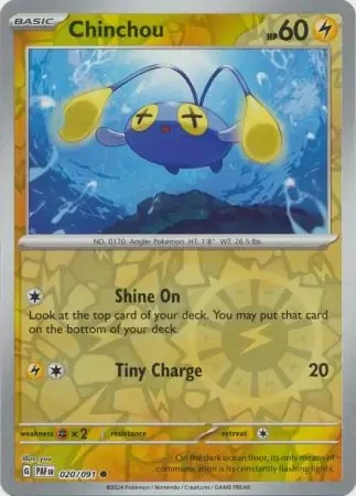 Chinchou 20