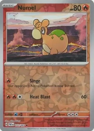 Numel 11