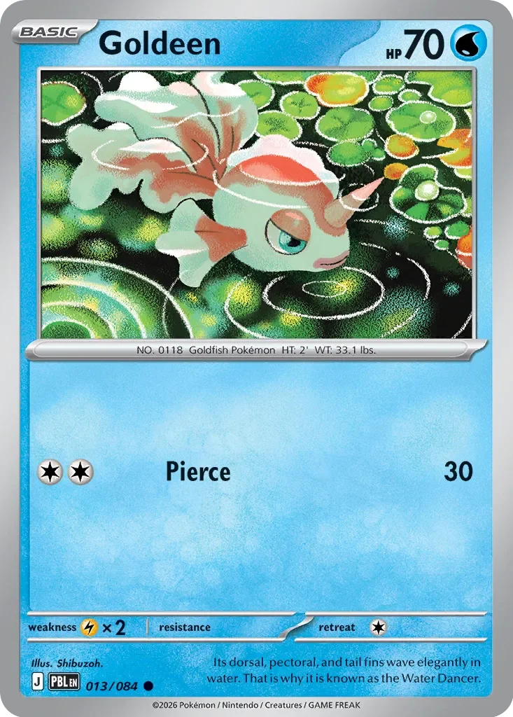 Goldeen 13