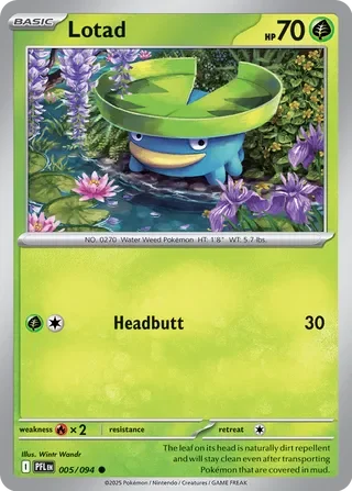 Lotad 5
