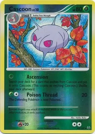 Cascoon 44
