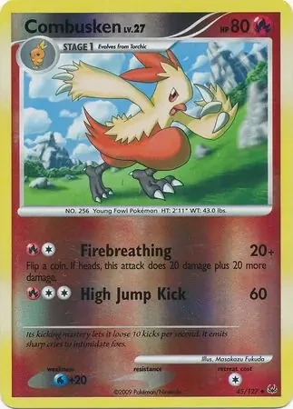 Combusken 45