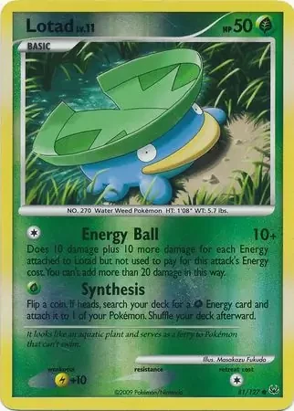 Lotad 81