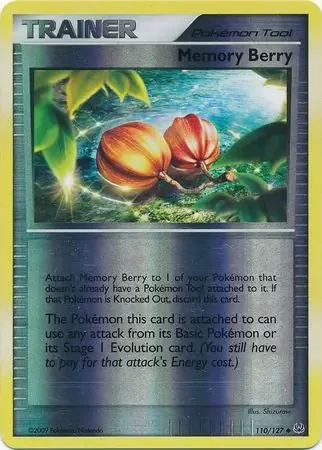Memory Berry 110
