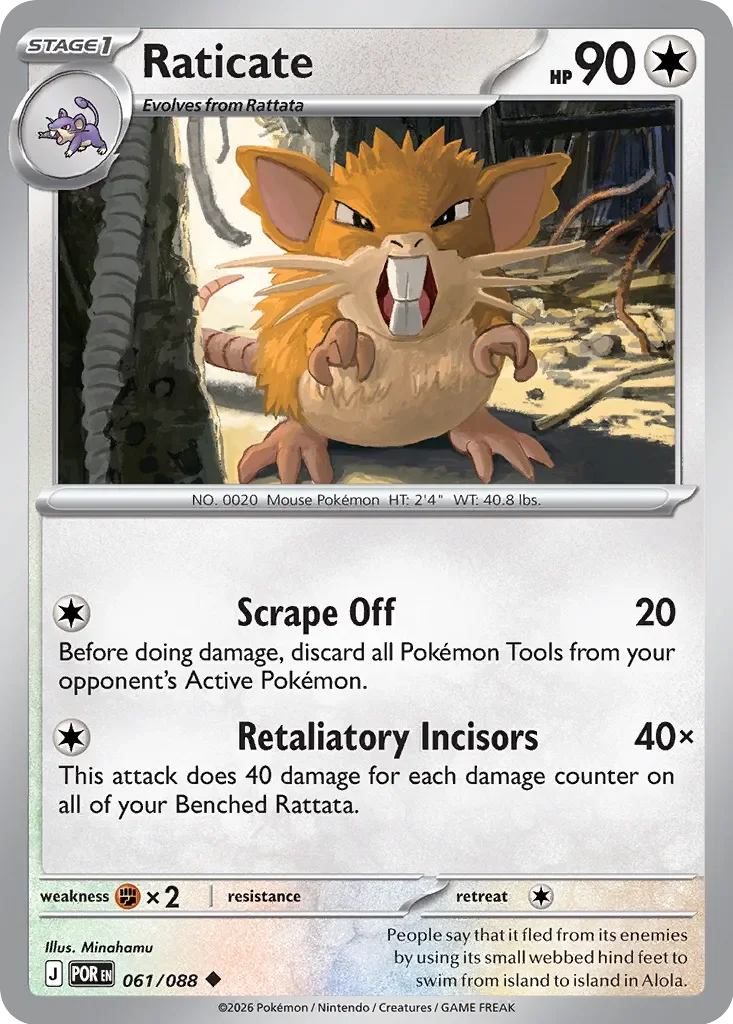Raticate 61