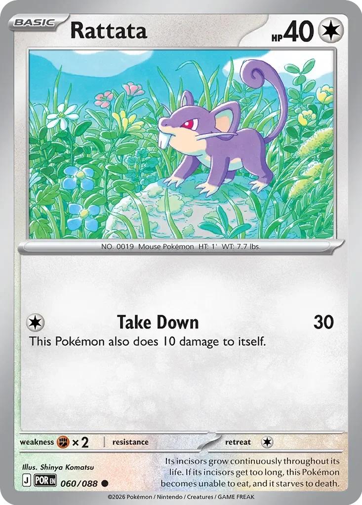 Rattata 60