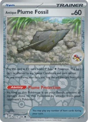 Antique Plume Fossil 79