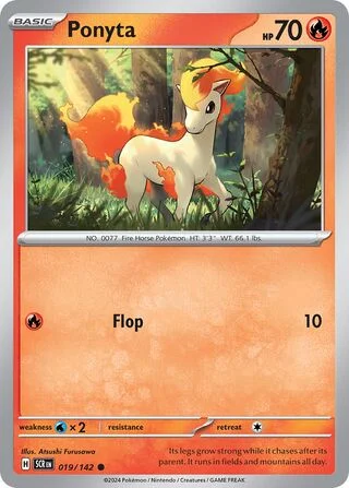 Ponyta 19