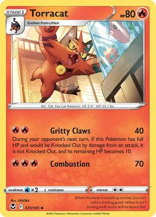 Torracat 31