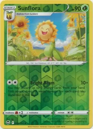 Sunflora 6