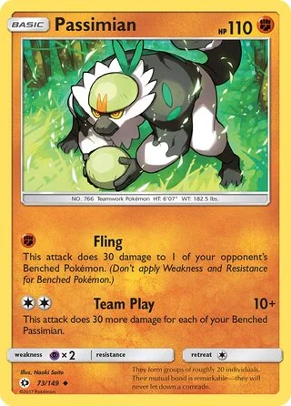Passimian 73