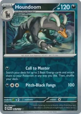 Houndoom 63