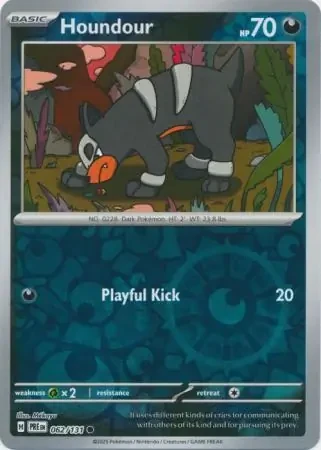 Houndour 62