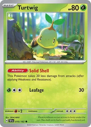 Turtwig 10