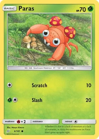 Paras 6
