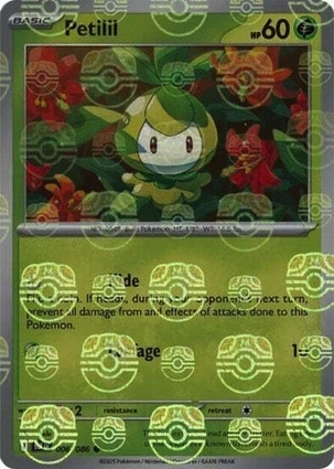 Petilil 6
